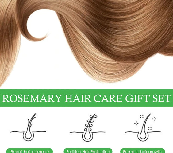 Rosemary Scalp Oil 3-Box Set