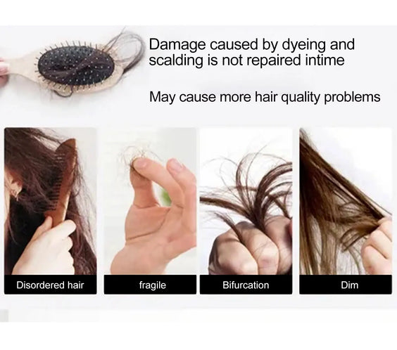 Rosemary Scalp Oil 3-Box Set