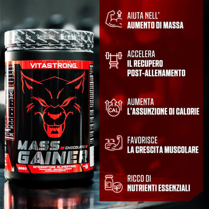 Vitastrong Mass Gainer Protein Powder With Creatine Monohydrate For Hardgainers High Calorie Muscle Mass For Men Women by Beauty Bae