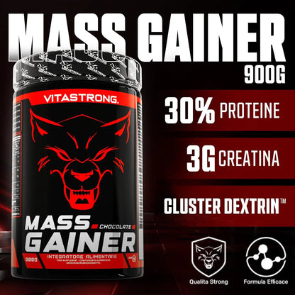 Vitastrong Mass Gainer Protein Powder With Creatine Monohydrate For Hardgainers High Calorie Muscle Mass For Men Women by Beauty Bae