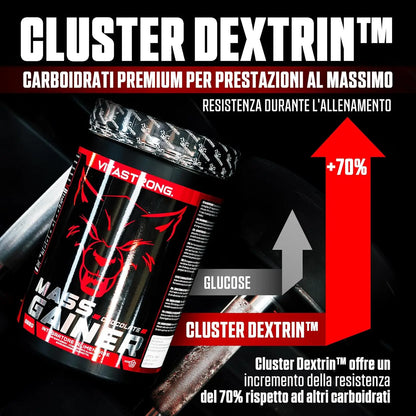 Vitastrong Mass Gainer Protein Powder With Creatine Monohydrate For Hardgainers High Calorie Muscle Mass For Men Women by Beauty Bae