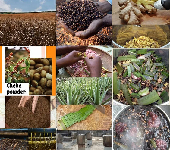 Layden Scalp Roots Oil 50ml