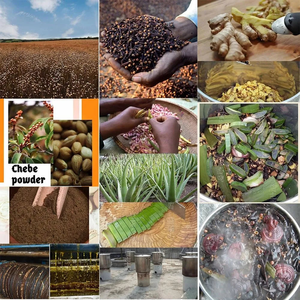 Layden Scalp Roots Oil 50ml