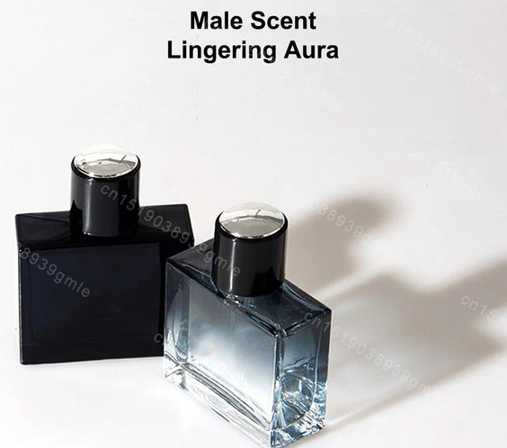 Men Woody Eau De Toilette 80ML