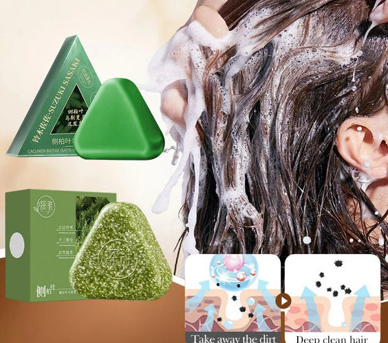 Grass Platycladus Shampoo Bar