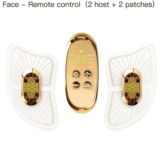 Metal EMS Facial Lifter