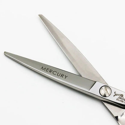 9CR13 6in Hair Shears - Beauty Bae