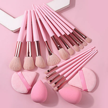 19-piece pink nylon and wool makeup brush set with sponge puff and plastic handles arranged for face and eye use