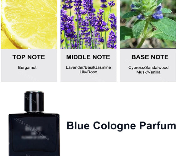 Men Woody Eau De Toilette 80ML