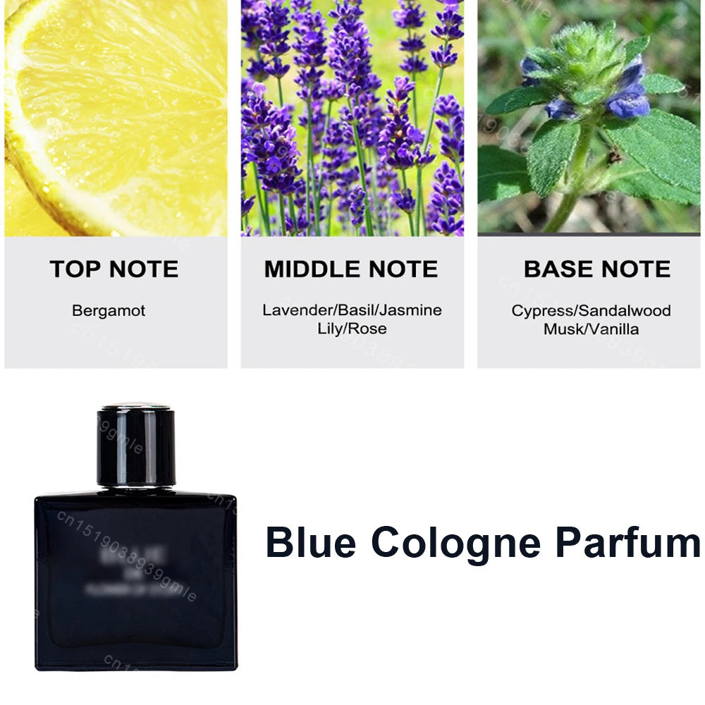 Men Woody Eau De Toilette 80ML - Beauty Bae