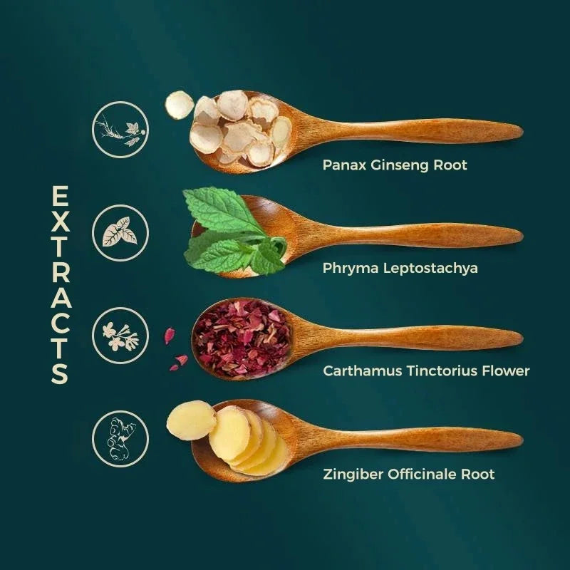 Zhangguang 101 Anti Hair Loss Shampoo 360g Ginger Nourishing Hair Conditioner Set Chinese Herbal by Beauty Bae