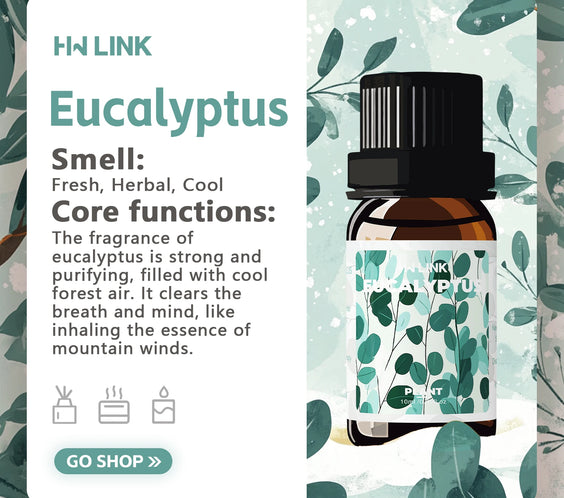 Eucalyptus Oil 10ml Pure