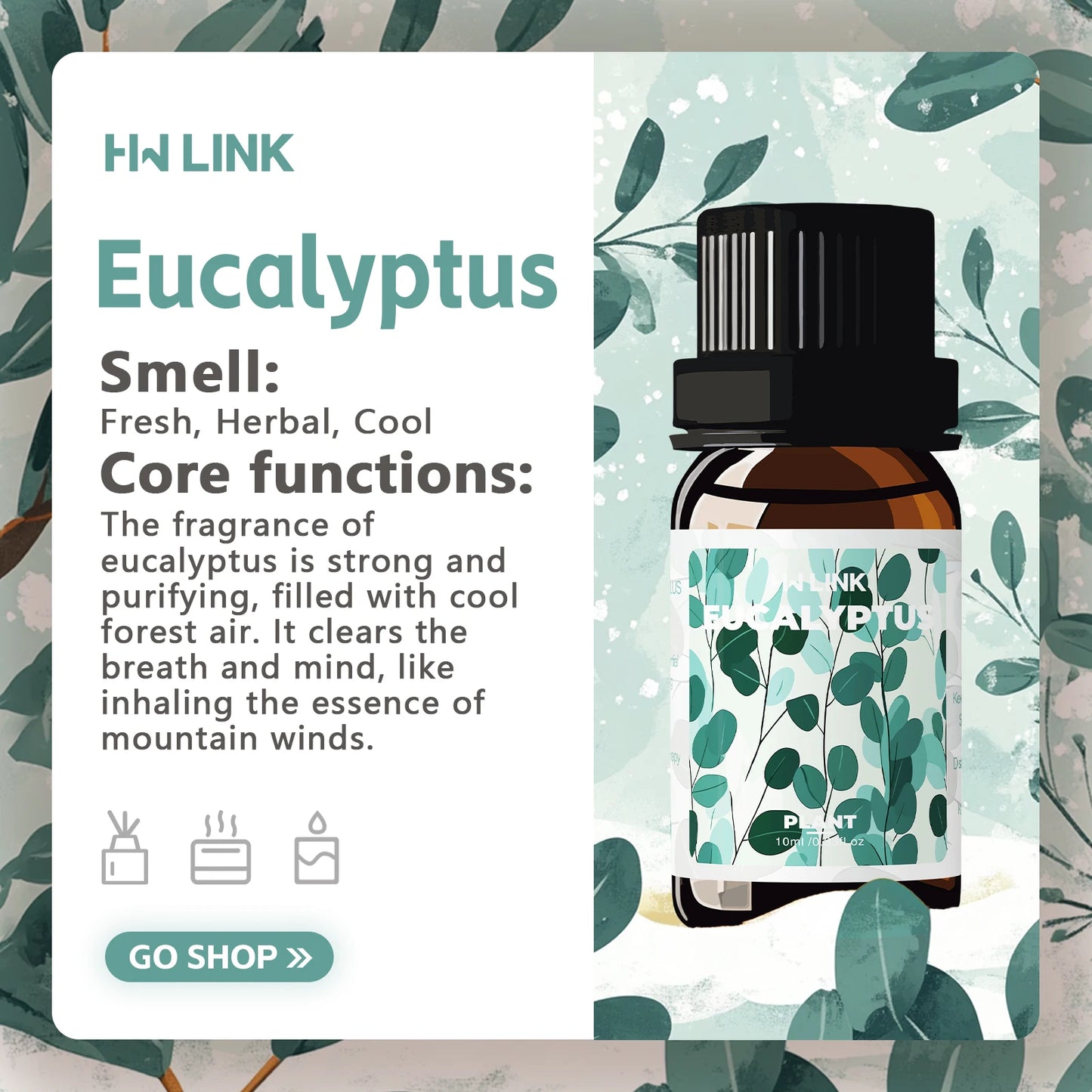 Eucalyptus Oil 10ml Pure - Beauty Bae