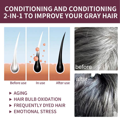 Polygonum Dandruff Shampoo 80g - Beauty Bae