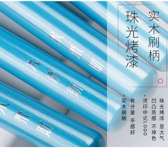 13pc Blue Synthetic Brush Set