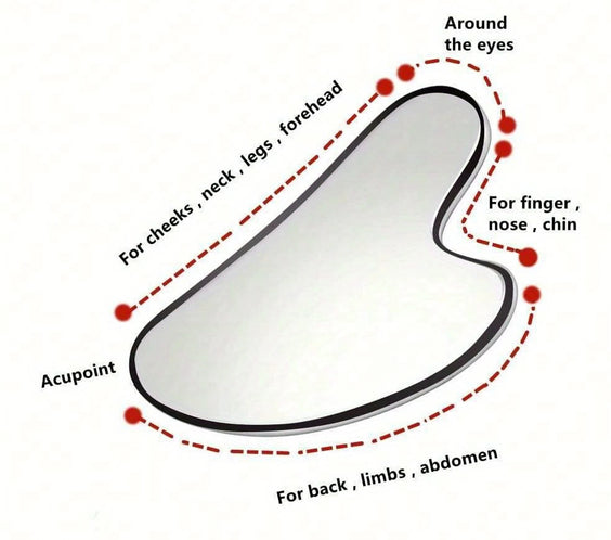 Stainless Steel Face Roller