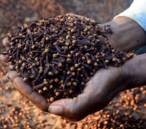 Chebe Hair Growth Shampoo