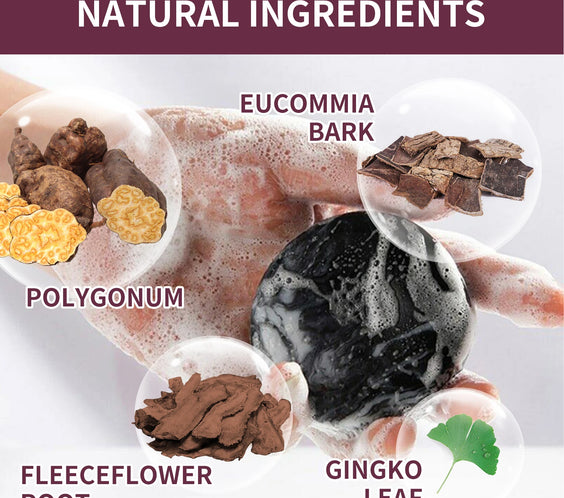 Polygonum Dandruff Shampoo 80g