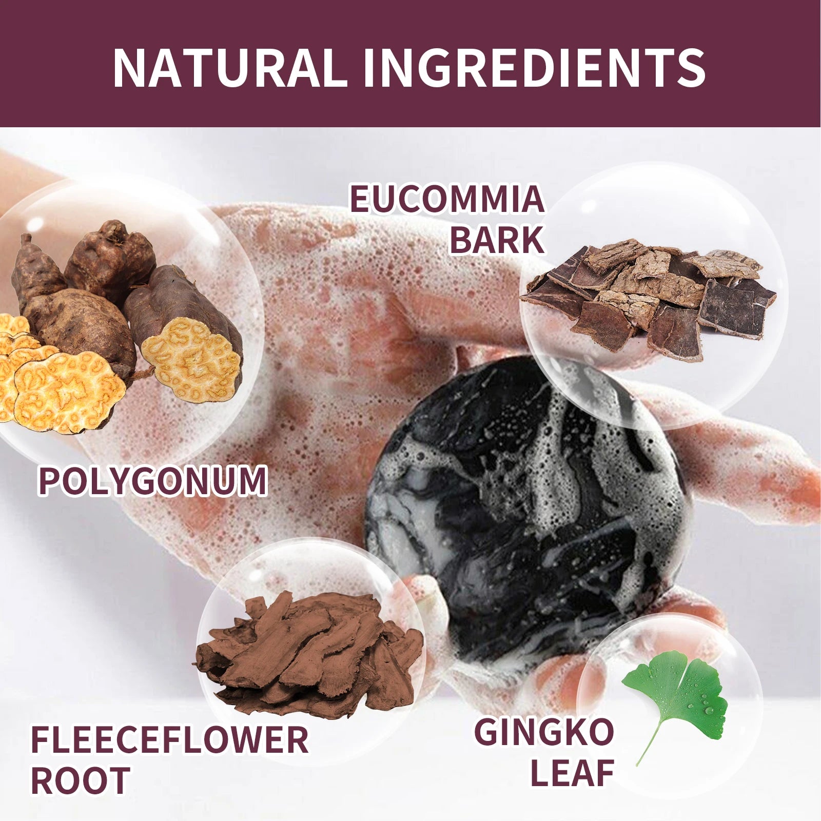 Polygonum Dandruff Shampoo 80g