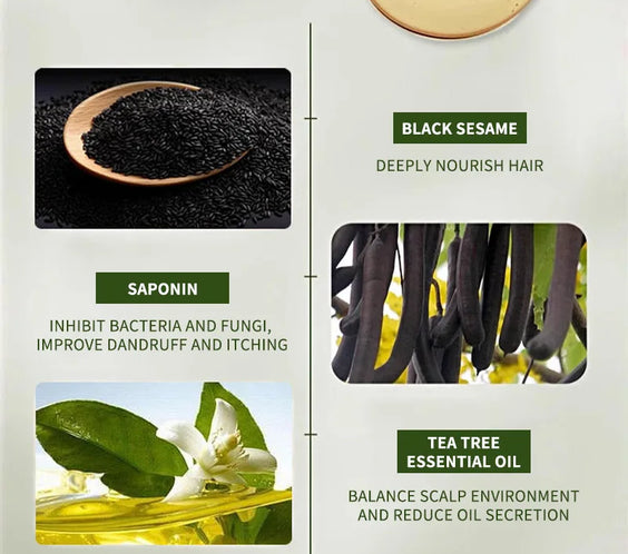 Grass Platycladus Shampoo Bar