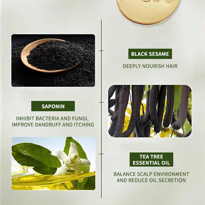 Grass Platycladus Shampoo Bar - Beauty Bae