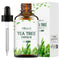 Tea Tree Body Oil 30ml
