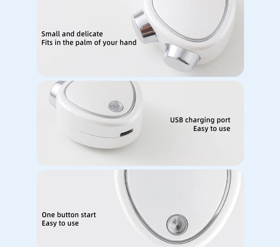 EMS Microcurrent 3D Face Roller