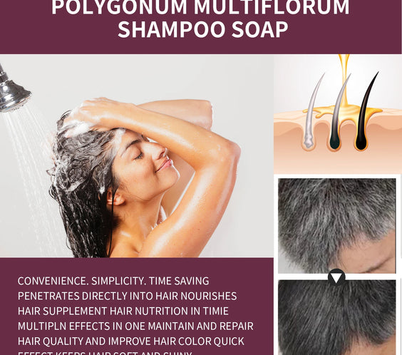 Polygonum Dandruff Shampoo 80g