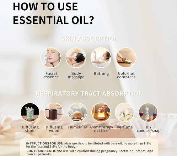 Cinnamon Bark Essential Oil