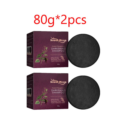 Polygonum Dandruff Shampoo 80g - Beauty Bae