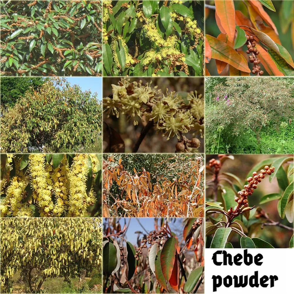 Layden Scalp Roots Oil 50ml