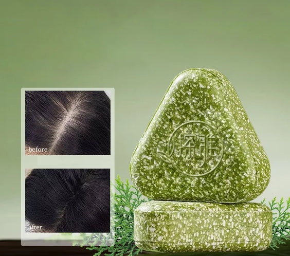 Grass & Platycladus Shampoo Bar solid herbal soap bar with textured surface and compact rectangular shape on neutral background